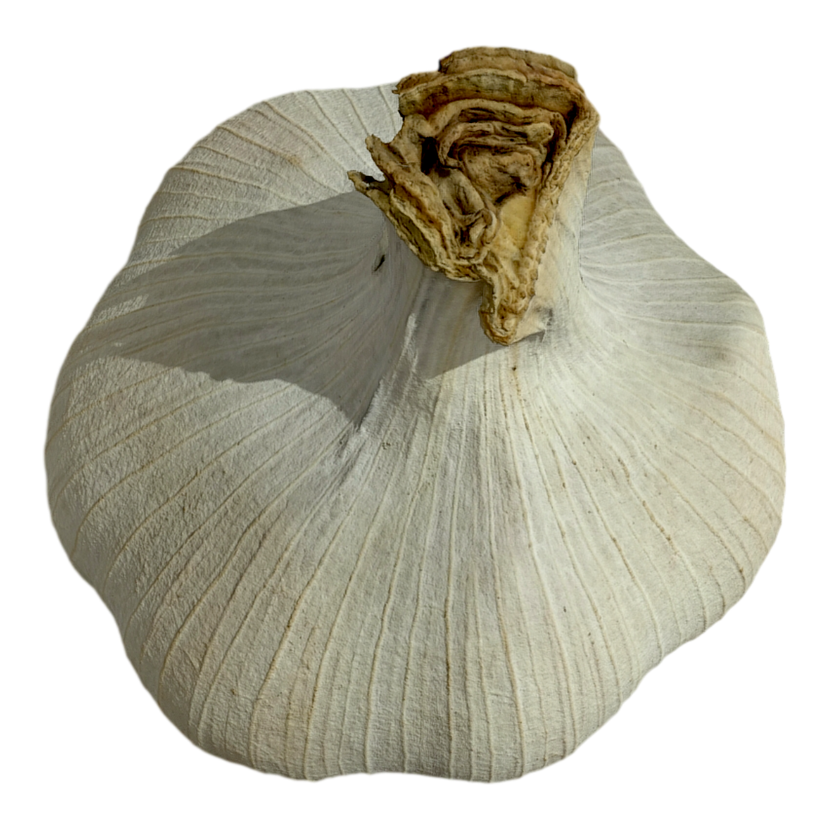 大蒜 | 蔬菜,蒜头,大蒜,大蒜3D模型,3D模型,3D打印,3D素材,obj,glTF,fbx,dae,stl,3ds,glb,usdz,3dmax,blender模型,VisionPro,3D建模,3D扫描,3d打印模型