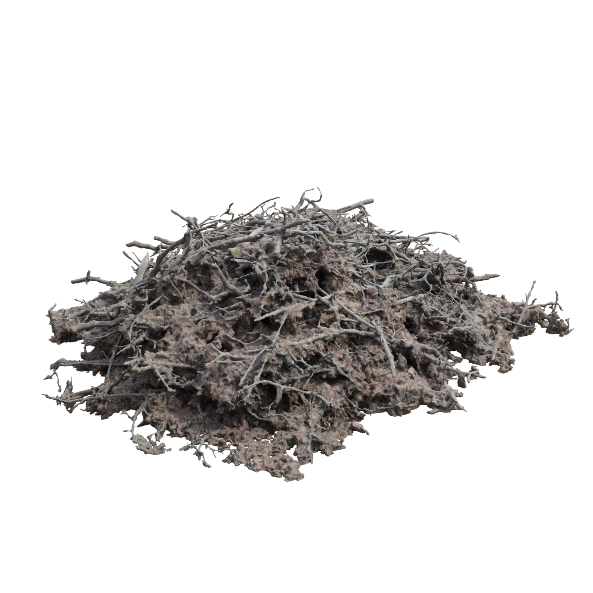 自然枯枝老树树枝堆枯枝堆 | 枝干,枯枝,树枝,树干,枯枝堆,树枝堆,废弃树枝堆,老树枝,树枝干,废弃树枝,3D模型,3D打印,3D素材,obj,glTF,fbx,dae,stl,3ds,glb,usdz,3dmax,blender模型,VisionPro,3D建模,3D扫描,3d打印模型