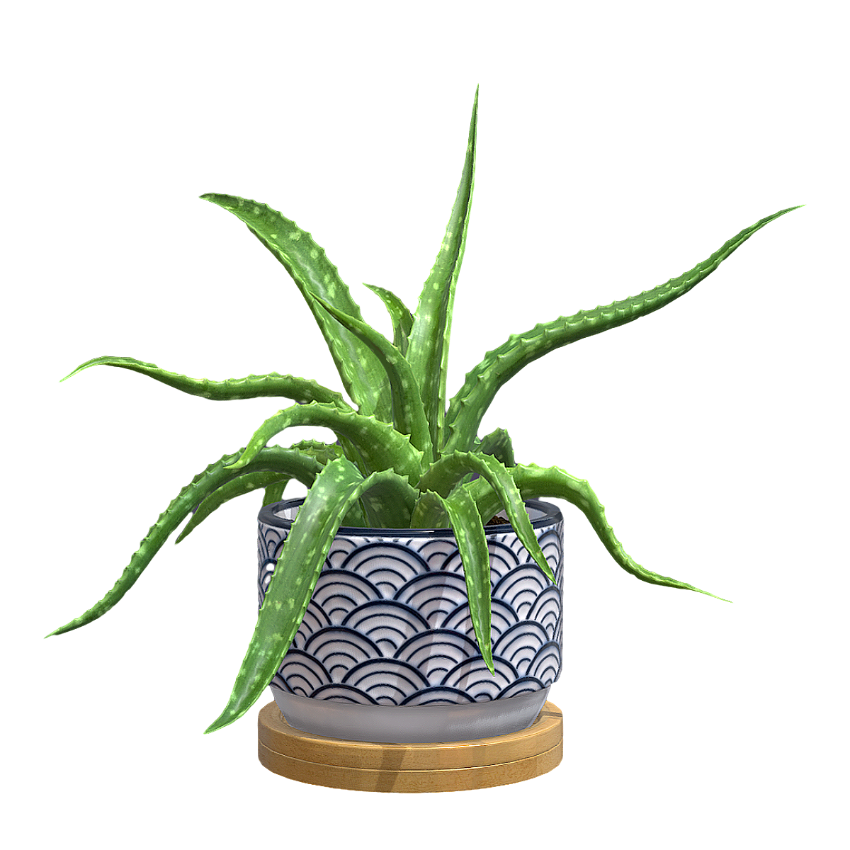 日系白云青海花盆芦荟盆栽 | 盆栽,花盆,盆栽3D模型,室内盆栽,室内绿植,日系花盆,白云青海纹花盆,芦荟盆栽,清新盆栽,芦荟,3D模型,3D打印,3D素材,obj,glTF,fbx,dae,stl,3ds,glb,usdz,3dmax,blender模型,VisionPro,3D建模,3D扫描,3d打印模型