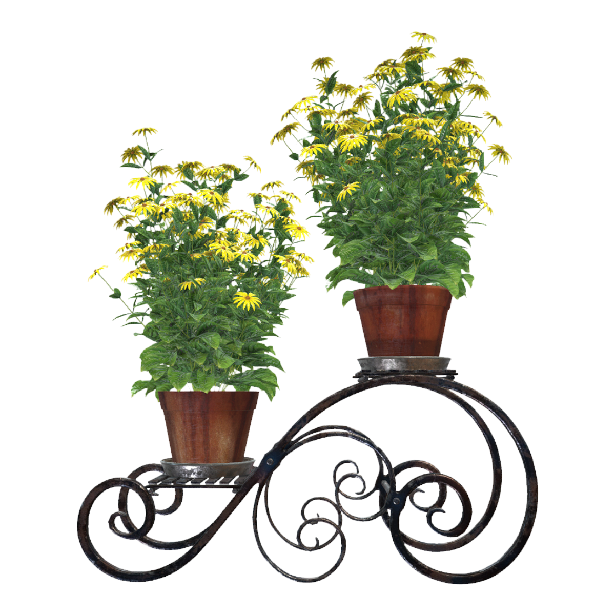欧式落地式双层金属架家养野菊花盆栽 | 盆栽,欧式,绿色植物,落地式,盆栽3D模型,双层架子,金属架,家养盆栽,野菊花,阳台装饰,3D模型,3D打印,3D素材,obj,glTF,fbx,dae,stl,3ds,glb,usdz,3dmax,blender模型,VisionPro,3D建模,3D扫描,3d打印模型